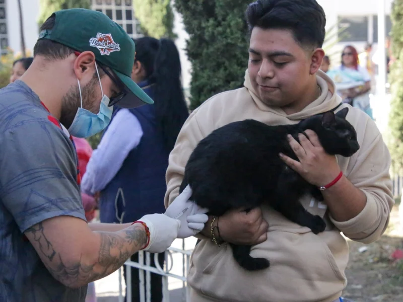 Upaep esteriliza gratis a tus mascotas a cambio de arroz o frijol, ¡haz cita!