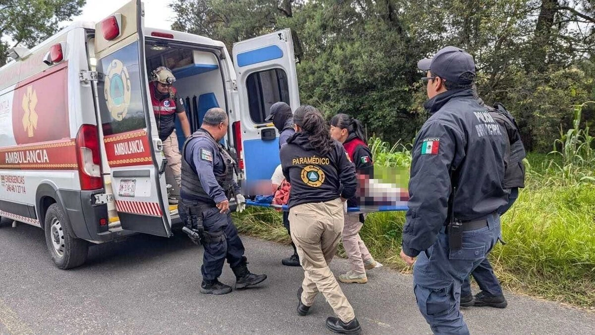 Perros atacan a un hombre y lo dejan moribundo en Contla, Tlaxcala 