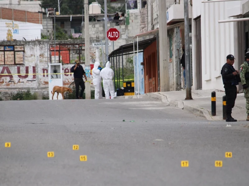 Gobierno de México reporta 509 homicidios dolosos en Puebla 