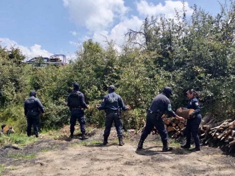 Descubren hornos clandestinos de madera en La Malinche 
