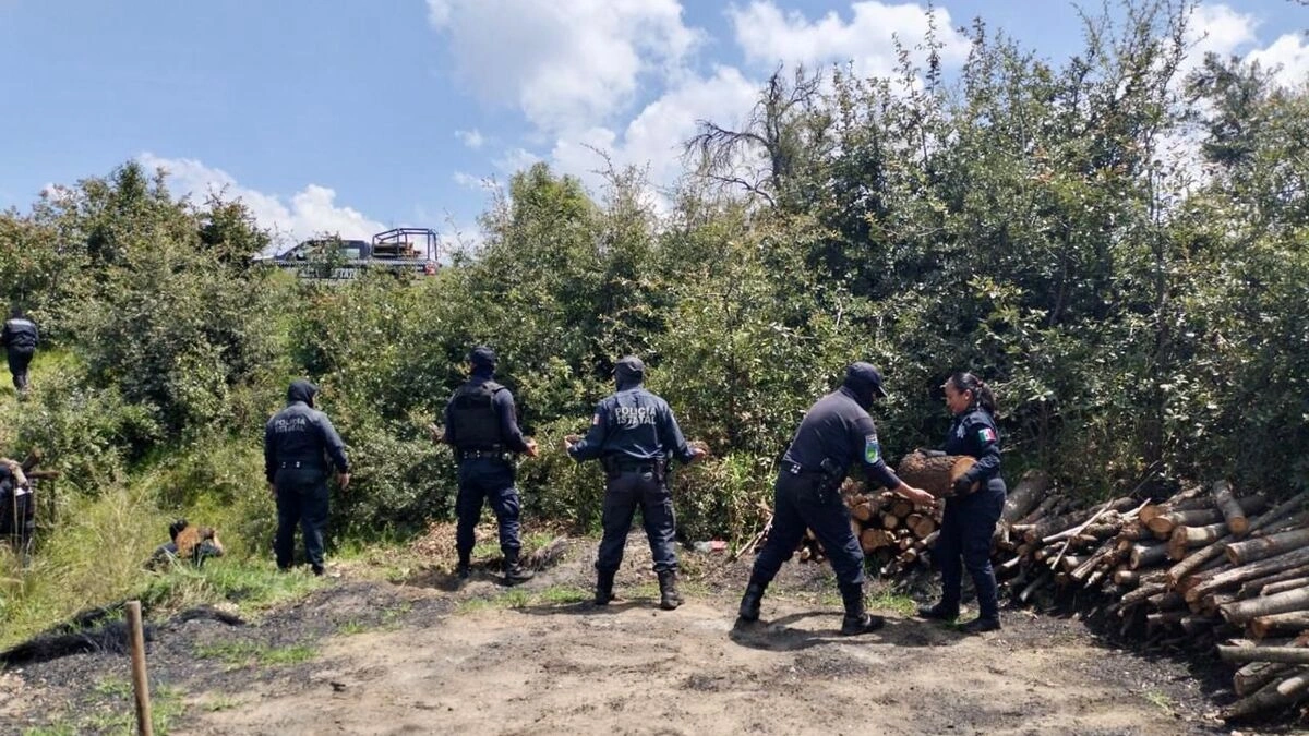 Descubren hornos clandestinos de madera en La Malinche 