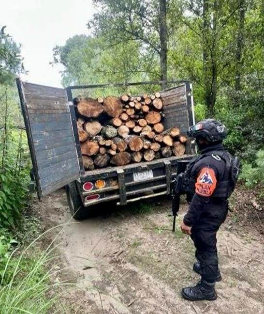 Tras ubicar una camioneta con troncos de árboles, quedaron al descubierto tres hornos clandestinos en La Malinche.