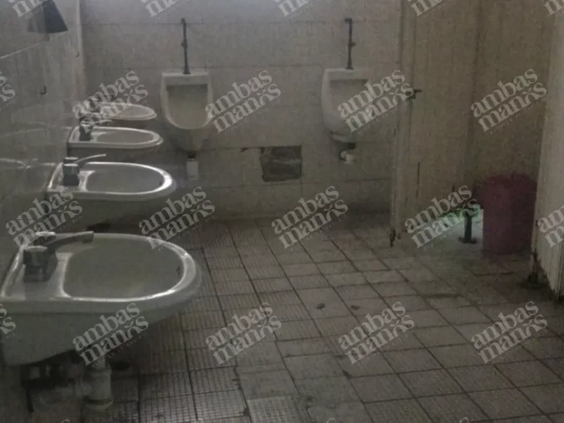 Choferes de Línea ORO denuncian fraude, abusos y abandono