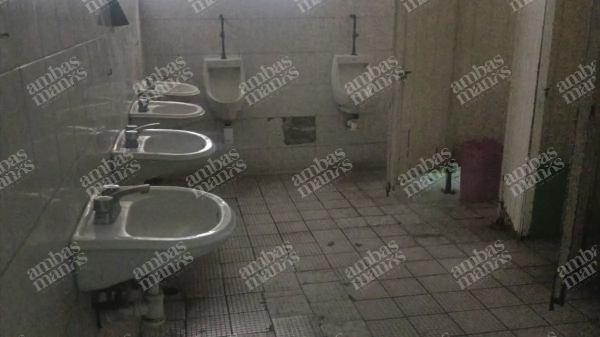 Choferes de Línea ORO denuncian fraude, abusos y abandono