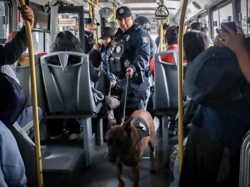 Marihuana y armas blancas, con lo que más viajan usuarios del transporte en Puebla