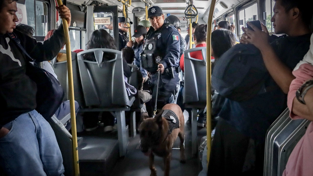 Marihuana y armas blancas, con lo que más viajan usuarios del transporte en Puebla