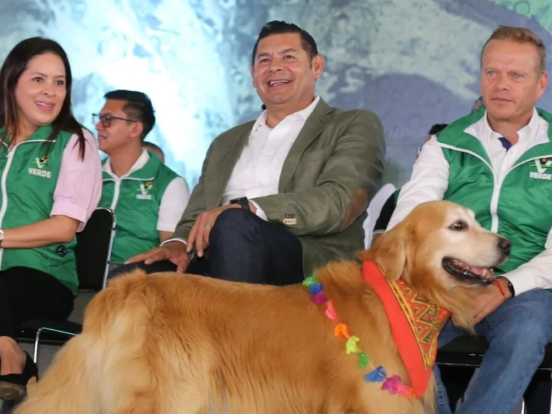 En encuentro, Partido Verde cierra filas con el gobernador Alejandro Armenta