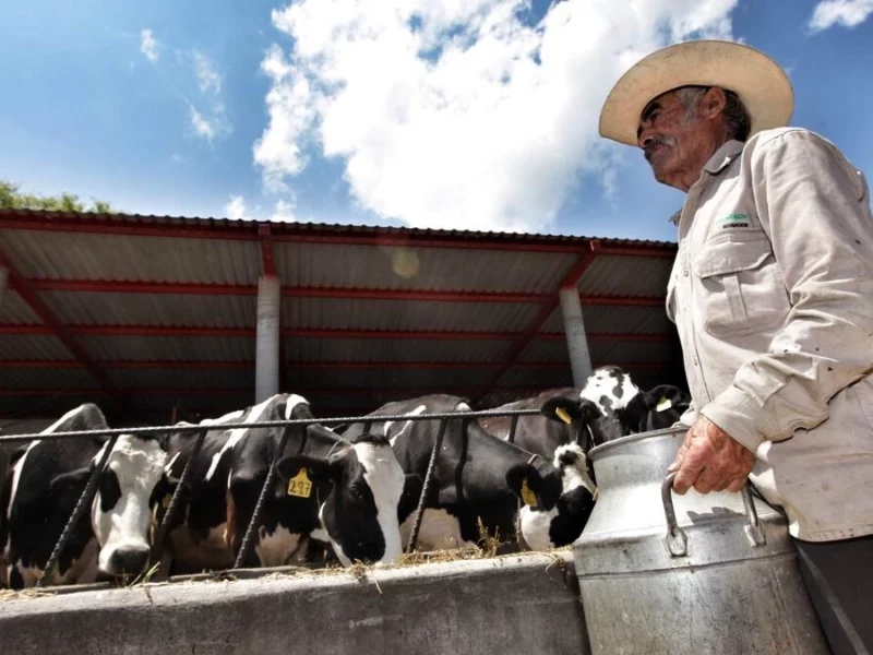 Congreso prepara nueva Ley Pecuaria, tras 20 años de no legislar en la materia