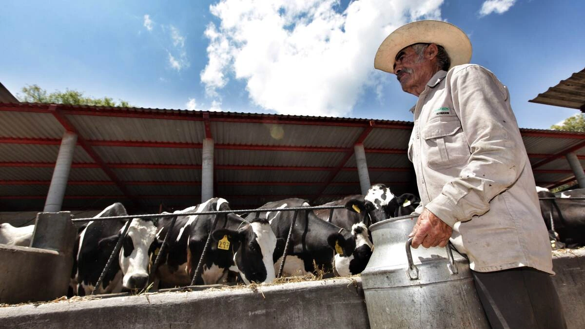 Congreso prepara nueva Ley Pecuaria, tras 20 años de no legislar en la materia