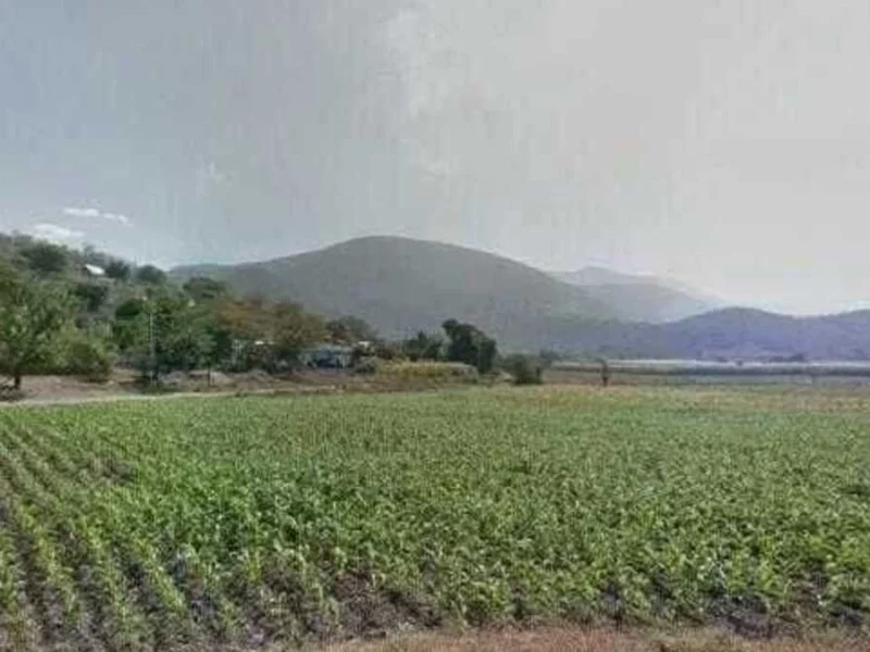 Se quita la vida "El Trinquete", joven de 22 años, en comunidad de Chietla
