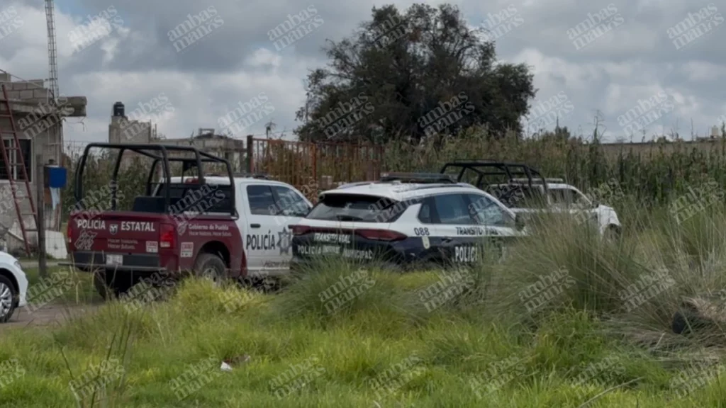 Este jueves, fue hallado en los límites territoriales de Puebla y Tlaxcala un tráiler que transportaba mariscos y había sido reportado como robado. 
