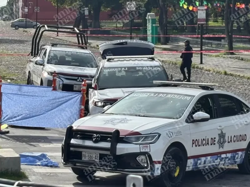 Arrojan un cuerpo en el Parque de Analco, en Puebla.