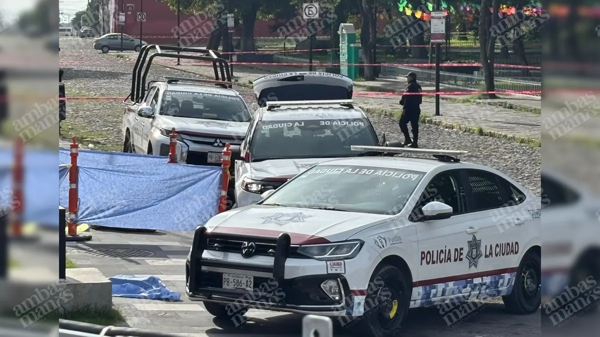 Arrojan un cuerpo en el Parque de Analco, en Puebla.