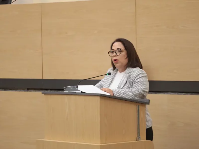 Proponen en el Congreso la creación de Agencias de Colocación Especializadas en Personas con Discapacidad
