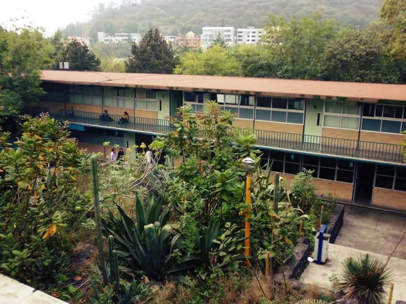 Alumno del CCH Sur de la UNAM mata a compañero y se lanza de un edificio
