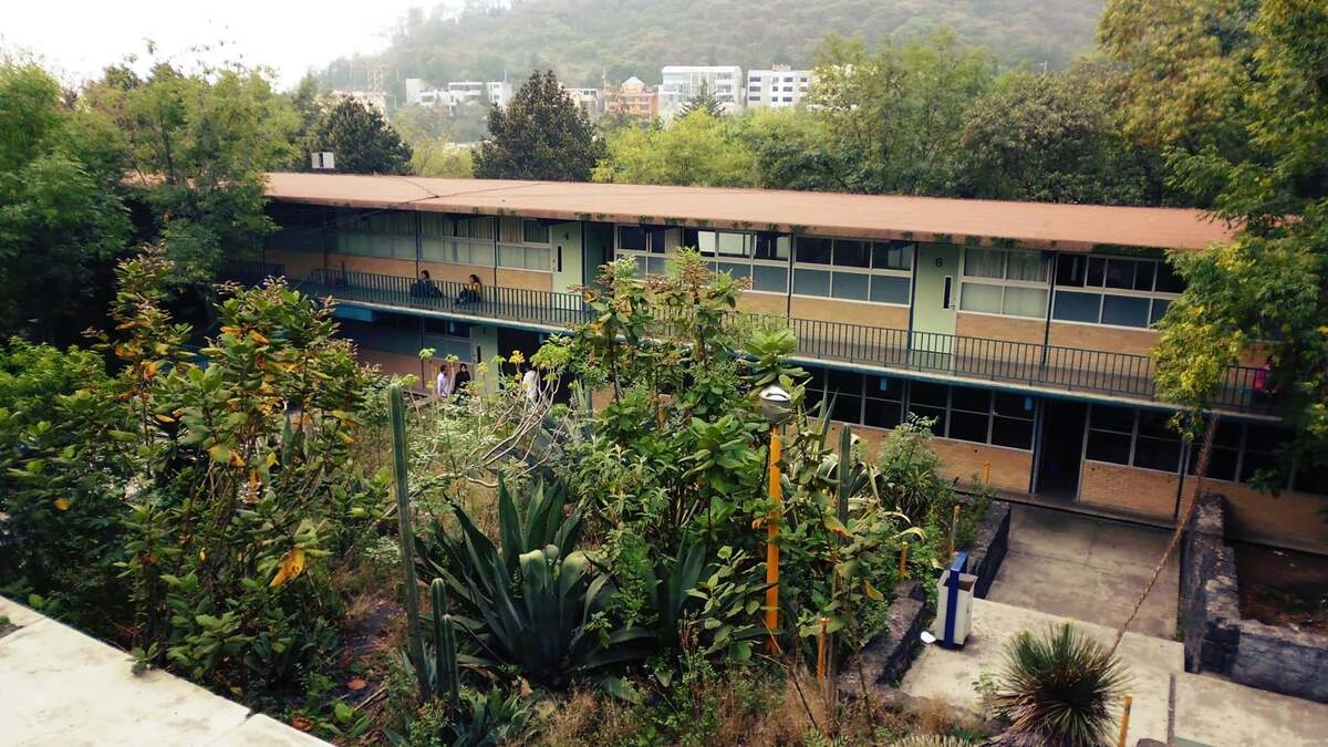 Alumno del CCH Sur de la UNAM mata a compañero y se lanza de un edificio