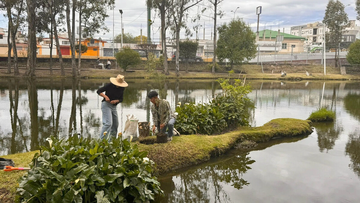 BUAP siembra ahuehuetes en Ciudad Universitaria