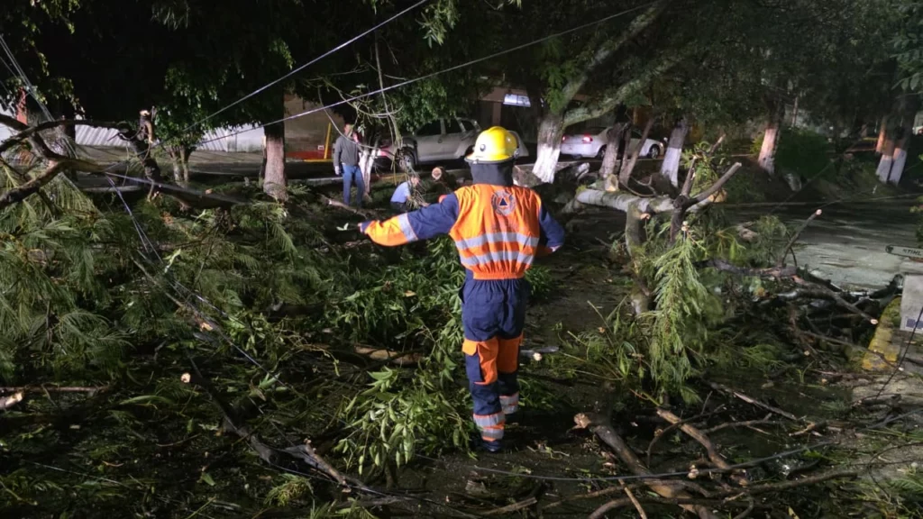Además de caída de árboles, en la Vía Atlixcáyotl, frente a las Torres JV, un espectaculares colapsó debido al viento. La estructura metálica se venció y estuvo a punto de caer hacia los automovilistas.