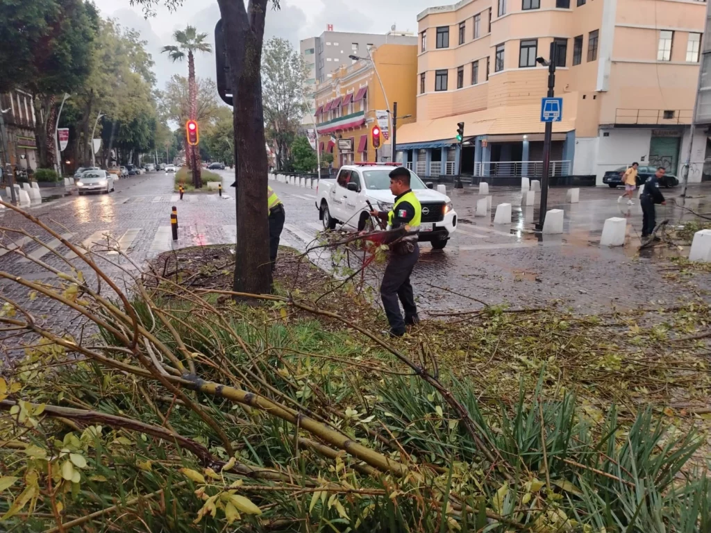 La tarde de este miércoles 3 de septiembre una tormenta con ráfagas de viento de hasta 90 kilómetros por hora derribó árboles, espectaculares y puertas de cristal en la zona metropolitana de Puebla.