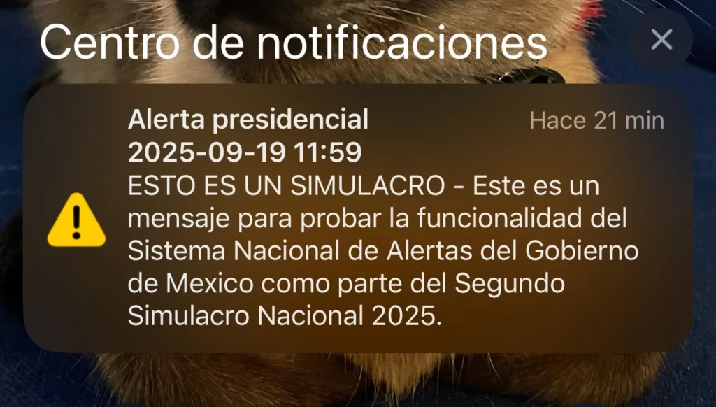 La Coordinación Estatal de Protección Civil informó que en Puebla más de 1.3 millones de personas así como 19 mil inmuebles participaron en el Segundo Simulacro Nacional 2025 que se realizó este viernes 19 de septiembre.