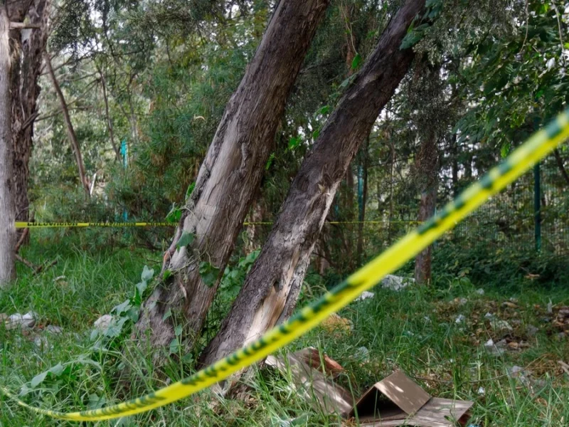 Vecinos rescatan a joven colgada de un árbol en Loma Bonita Caleras