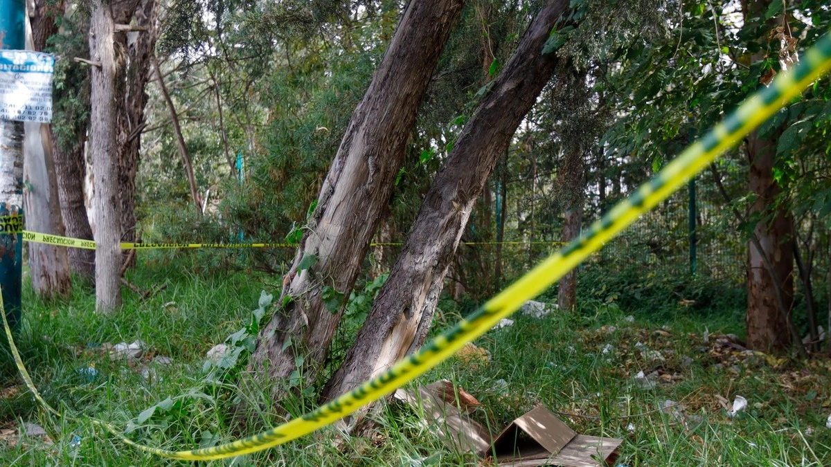 Vecinos rescatan a joven colgada de un árbol en Loma Bonita Caleras