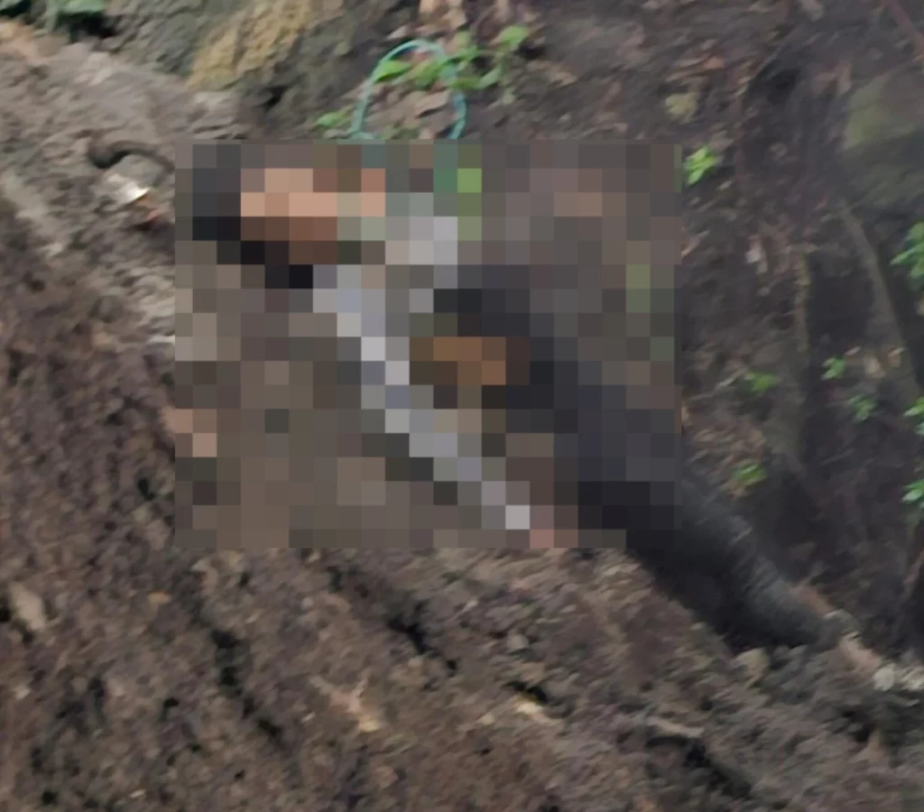 Vecinos de la colonia Loma Bonita Caleras, de la ciudad de Puebla, rescataron a una joven que estaba colgada del cuello en un árbol al fondo de una barranca.