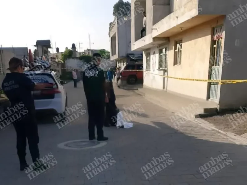 Perros devoran feto abandonado en Amozoc 
