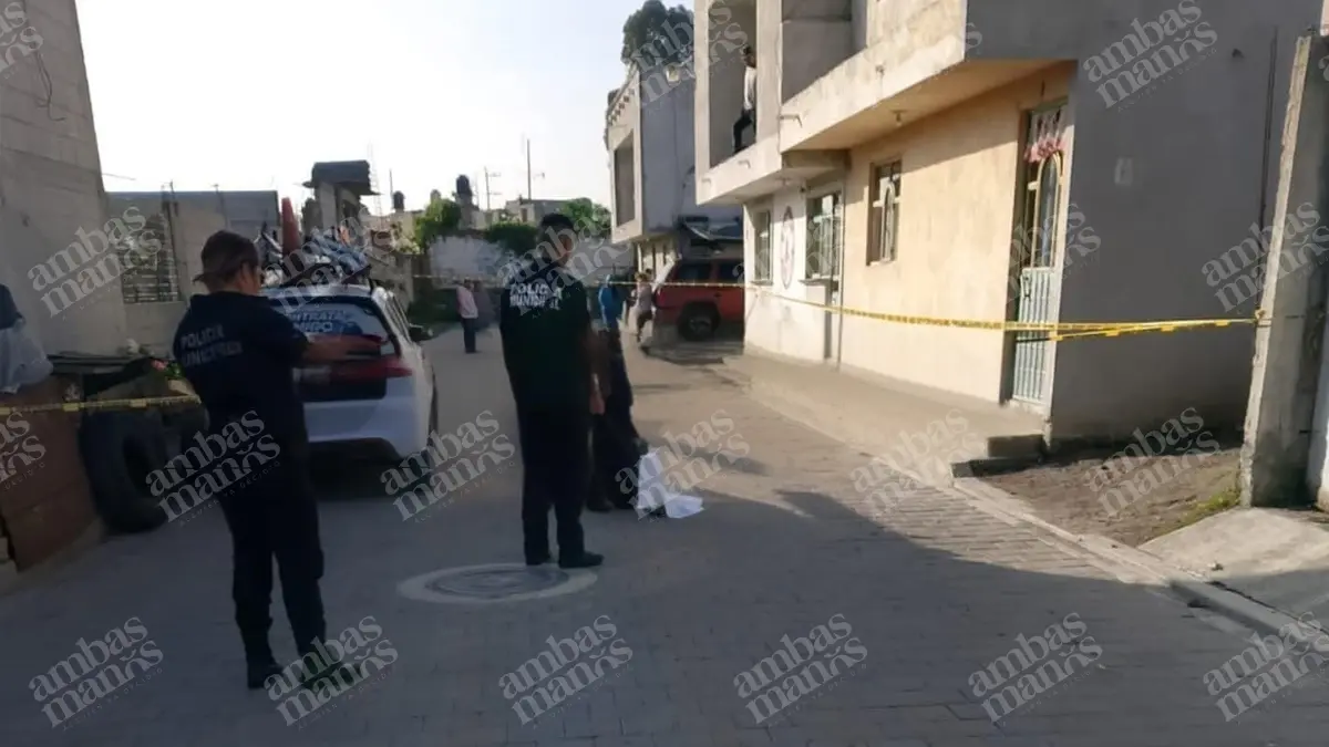 Perros devoran feto abandonado en Amozoc 