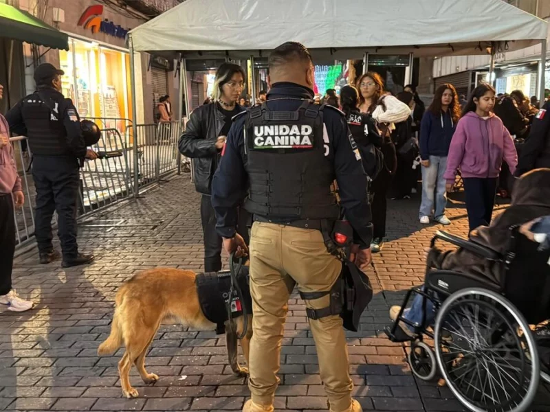 Así operan los filtros de seguridad en Puebla por festejos patrios