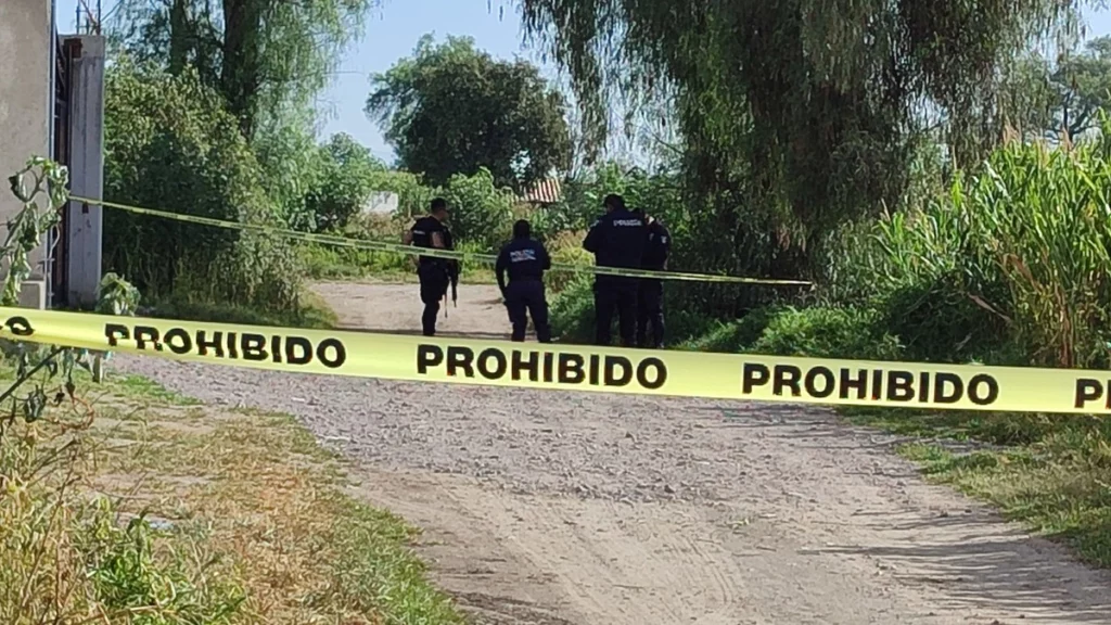 En Tecamachalco, cayeron dos generadores de violencia. Asesinaron a un hombre en Tochtepec.   