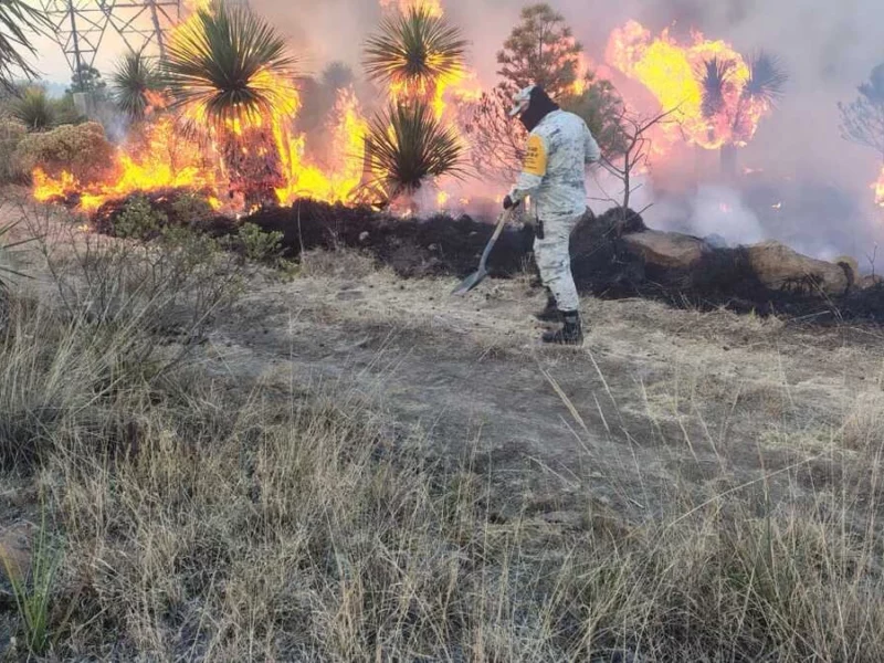 Proponen crear Unidades de Atención Forestal en los municipios de Puebla