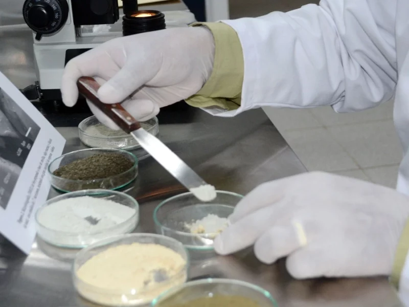En cuatro años creció 30.5% el número de investigadores BUAP en el SNII