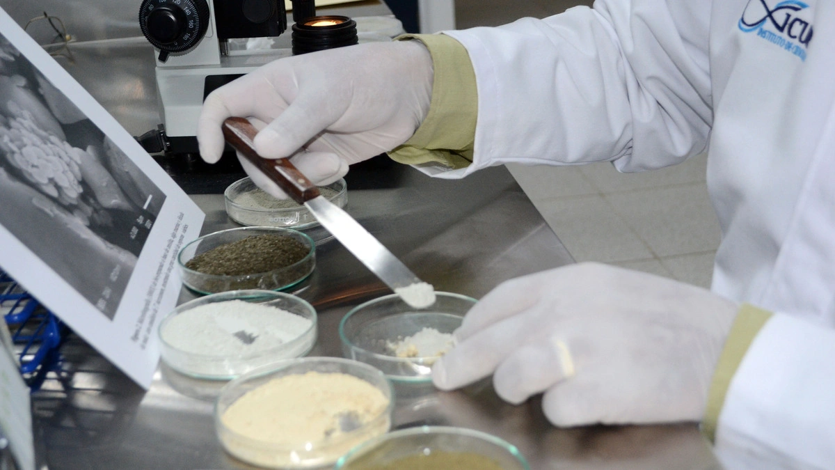 En cuatro años creció 30.5% el número de investigadores BUAP en el SNII