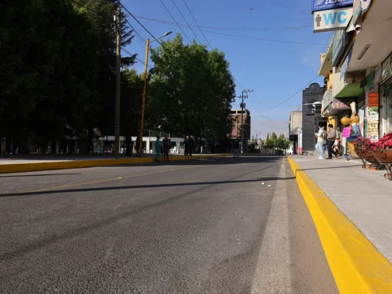 Lanzan licitación para dar mantenimiento a camellones y banquetas en Puebla capital 
