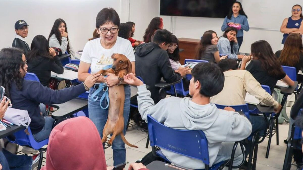 Continuará BUAP como agente estratégico en el desarrollo social: Lilia Cedillo