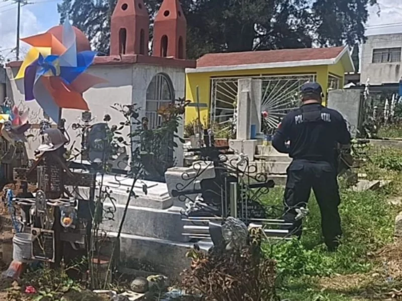 Descubren plantío de marihuana en panteón de la Guadalupe Hidalgo