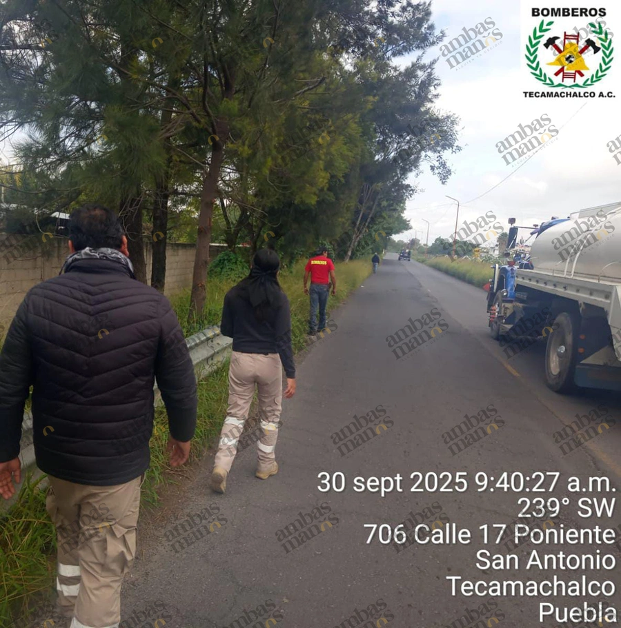Se presume que el mono araña hallado en Tecamachalco escapó de un domicilio.