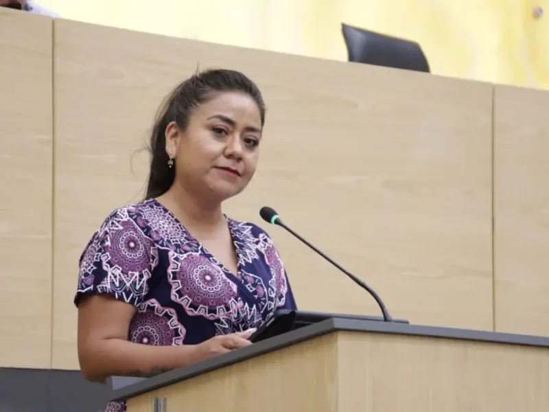 Urgente fortalecer prevención y atención de preeclampsia y eclampsia: Celia Bonaga Ruíz
