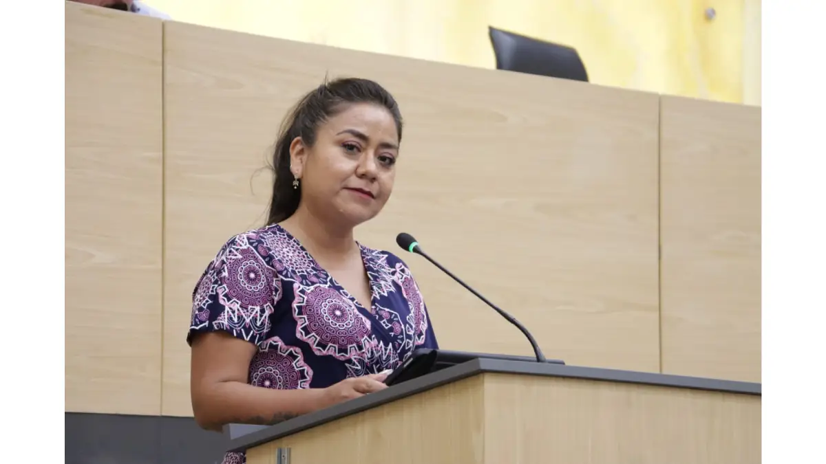 Urgente fortalecer prevención y atención de preeclampsia y eclampsia: Celia Bonaga Ruíz