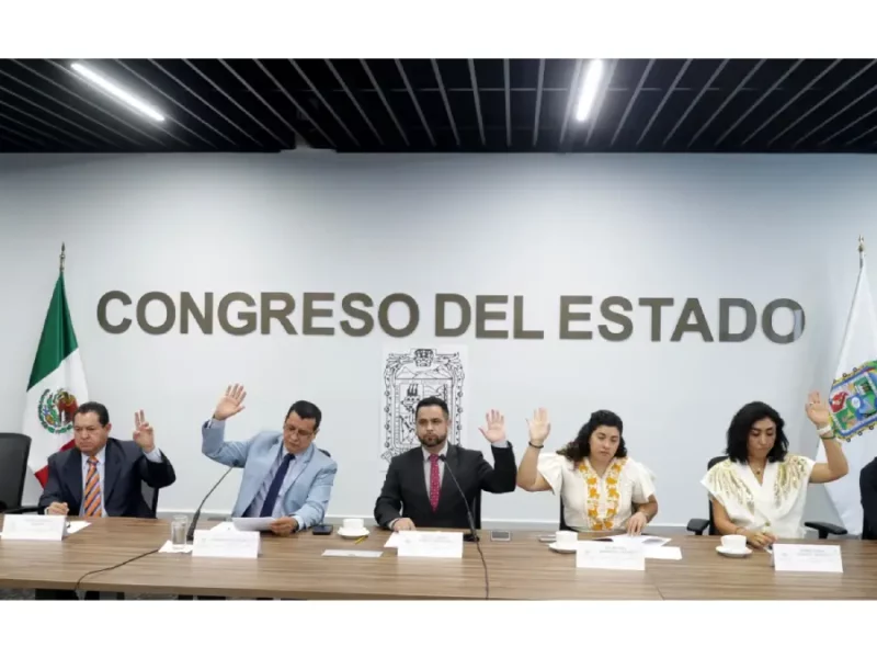 Avala Comisión del Congreso exhorto para destinar recursos al Sistema Estatal de Información Forestal