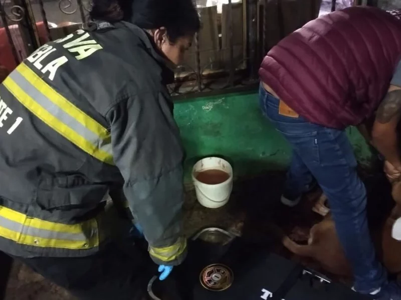 Riña en San Ramón deja un baleado, dos apuñalados y hasta perros heridos