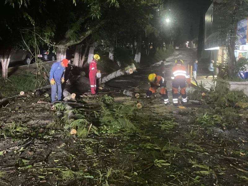 Tormenta derriba árboles, espectaculares y puertas de cristal en la zona metropolitana de Puebla