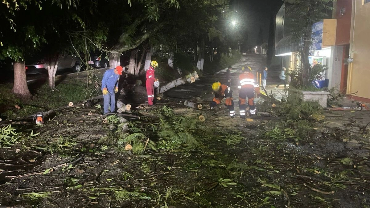 Tormenta derriba árboles, espectaculares y puertas de cristal en la zona metropolitana de Puebla