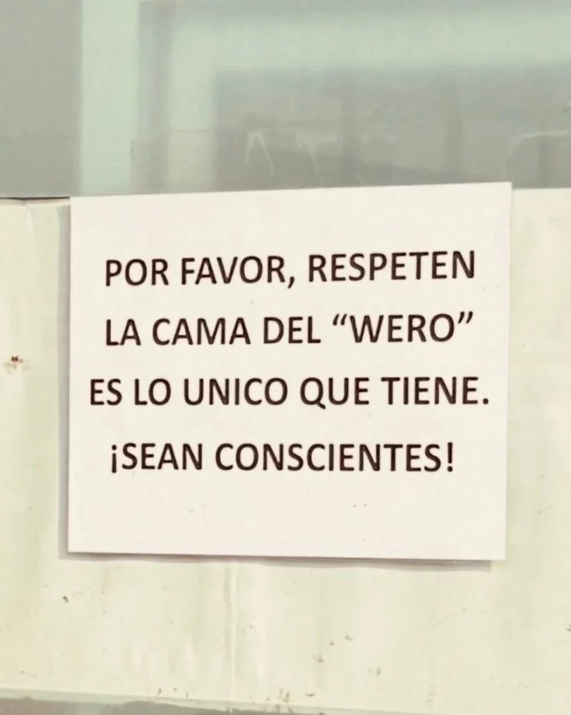 Wero es el nombre del nuevo perrito que custodia el RUTA.