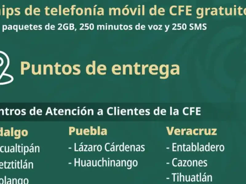 CFE dará chips con internet a damnificados por tormenta Jerry en Puebla .