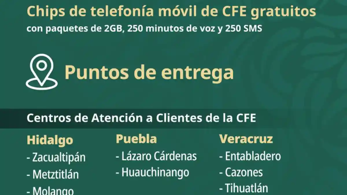 CFE dará chips con internet a damnificados por tormenta Jerry en Puebla .
