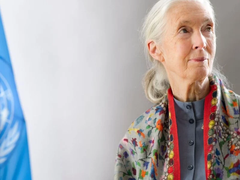 Muere Jane Goodall, reconocida científica y activista 