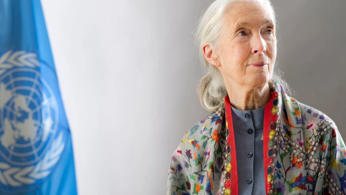 Muere Jane Goodall, reconocida científica y activista 