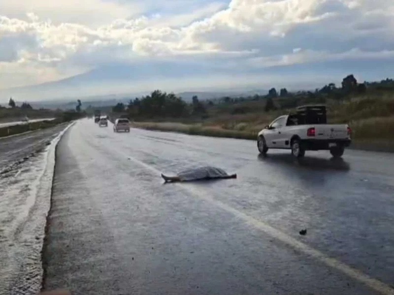 Fatal accidente en la Puebla-Atlixco deja dos muertos y un hombre prensado